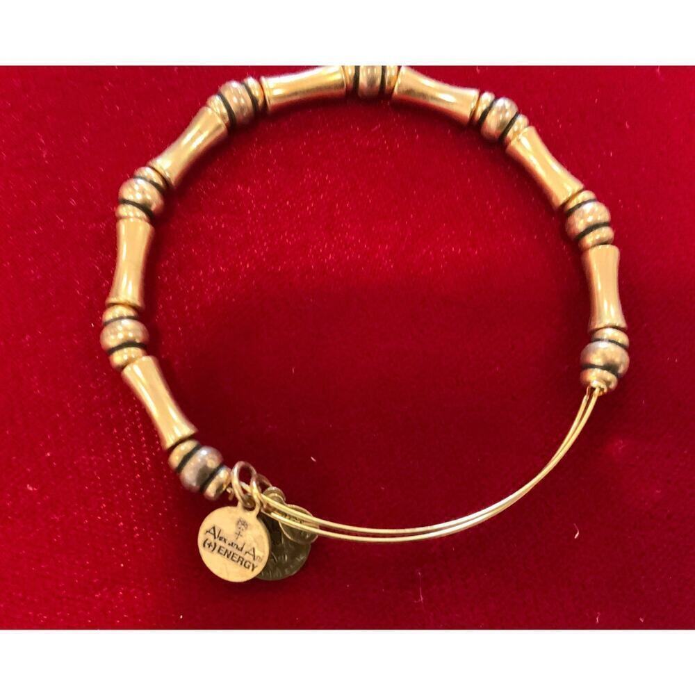 Alex and Ani Energy Bracelet